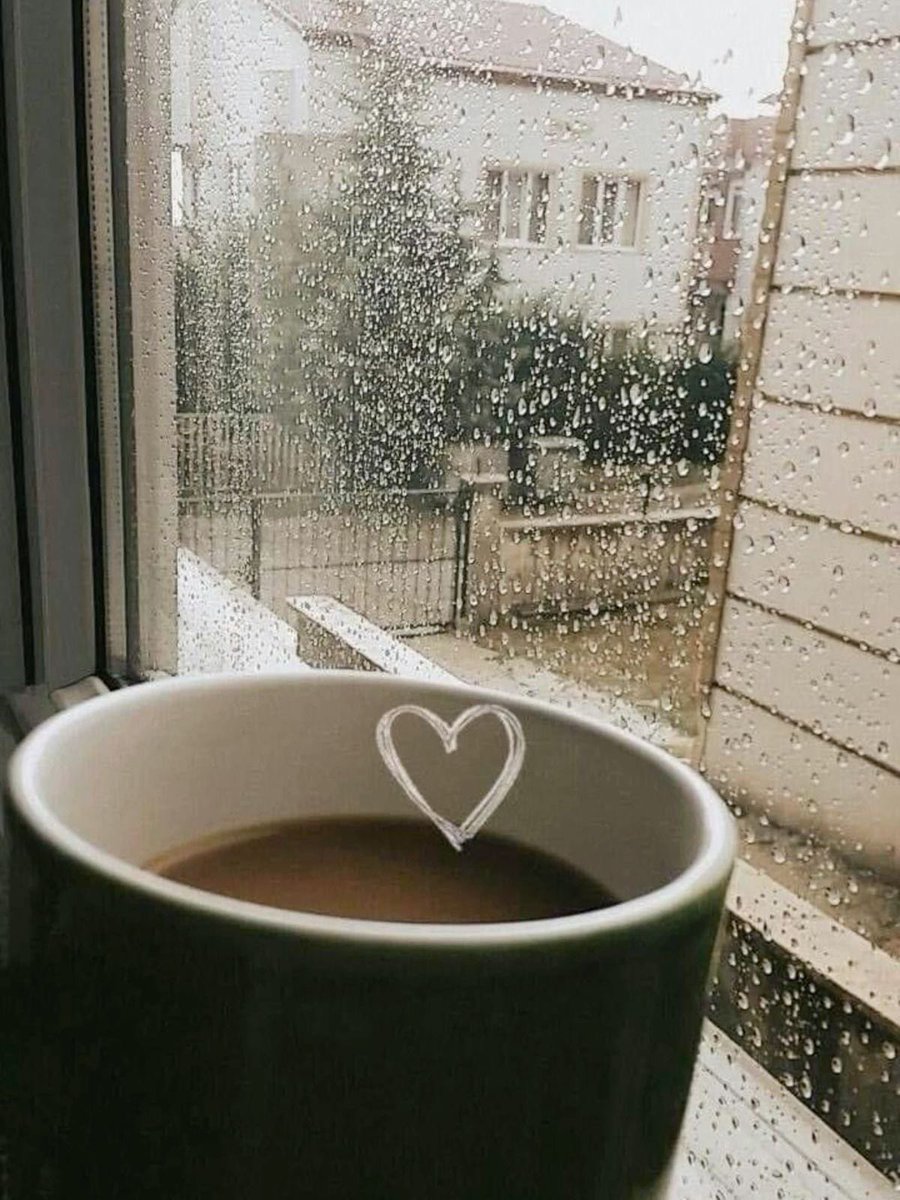 𝘼𝙪𝙜𝙪𝙨𝙩 𝙍𝙤𝙨𝘦 tweet media