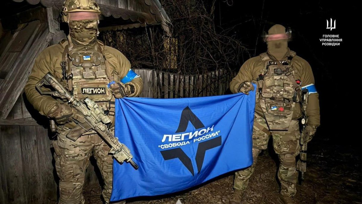 Периметр ZOV tweet media