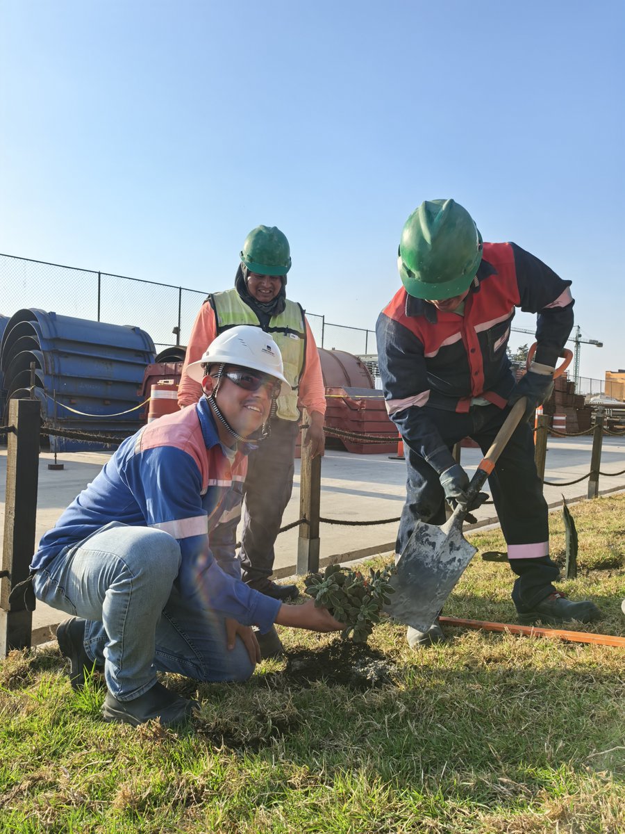 Freyssinet de México tweet media