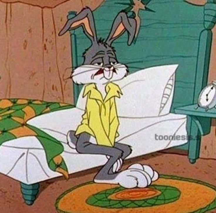 TommySamash🐺🐐COMMS OPEN tweet media