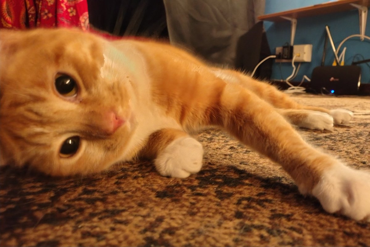 AutumnVT tweet media