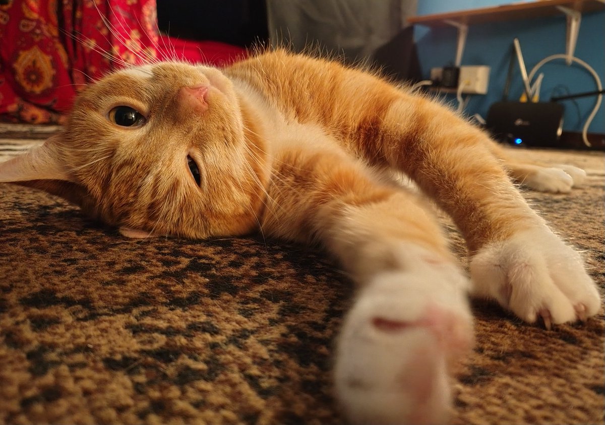 AutumnVT tweet media