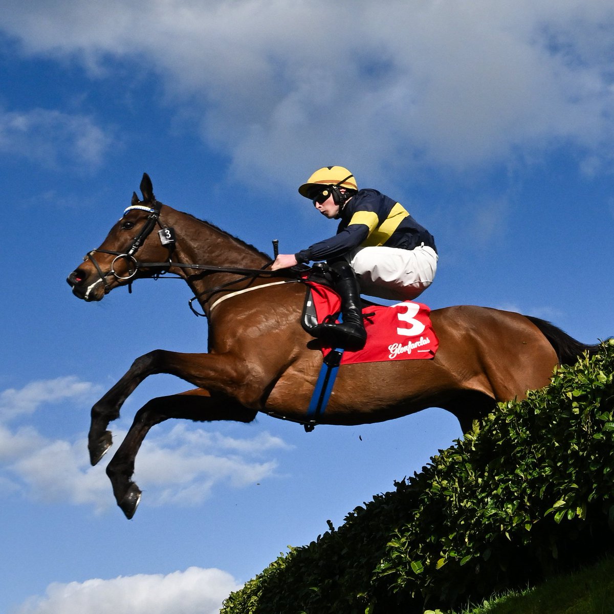 Racing Post tweet media