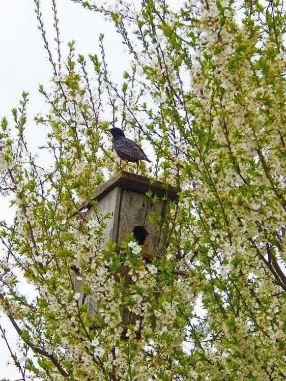 Peggy ☘️ tweet media