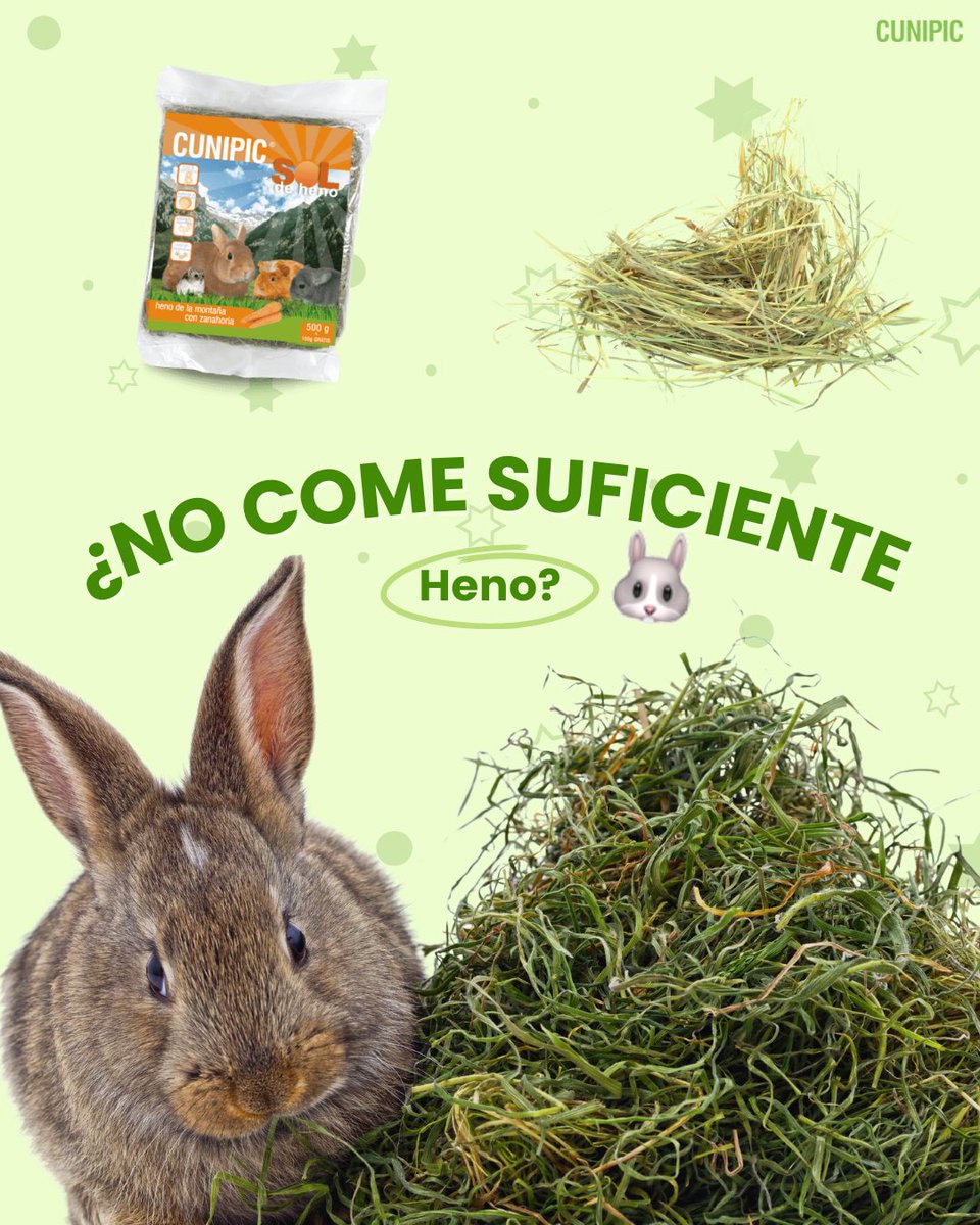 CUNIPIC l Alimentación natural para tu mascota tweet media