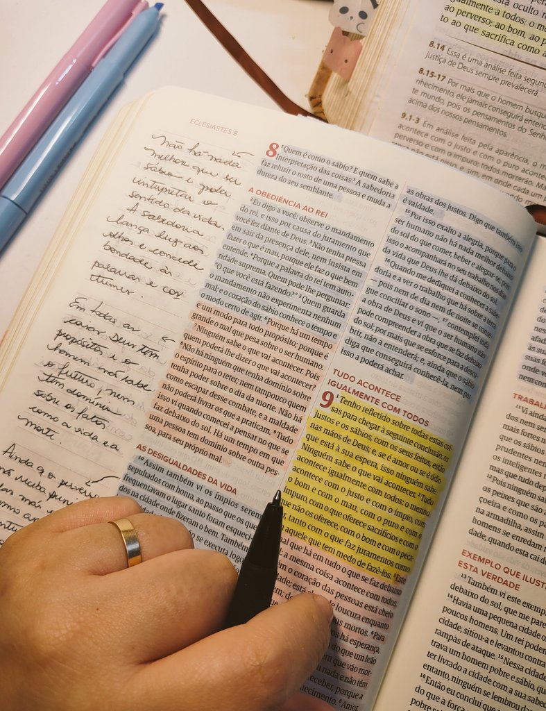 Francis Fais Reis ✨ tweet media