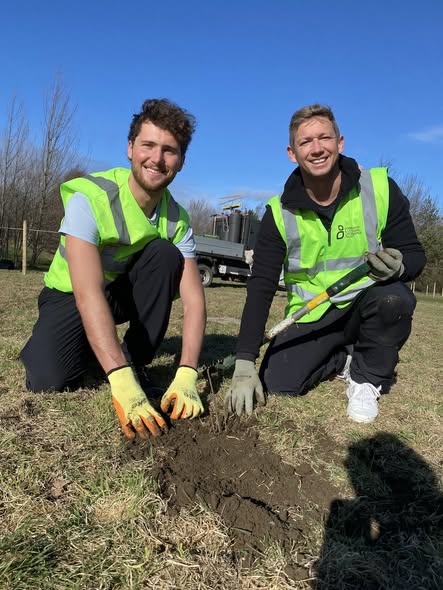 Tree Time tweet media