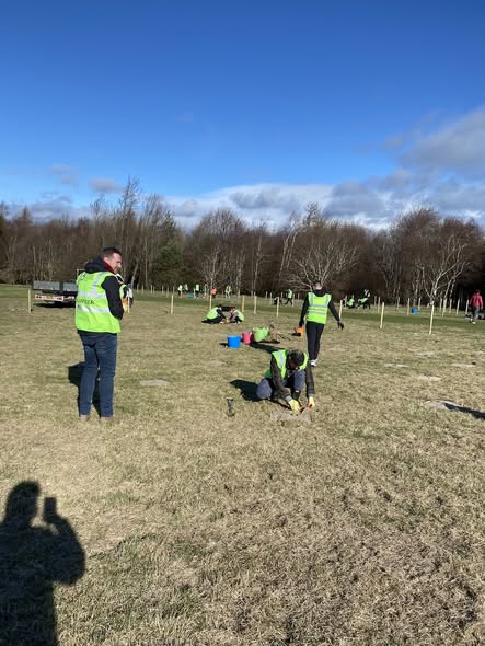 Tree Time tweet media