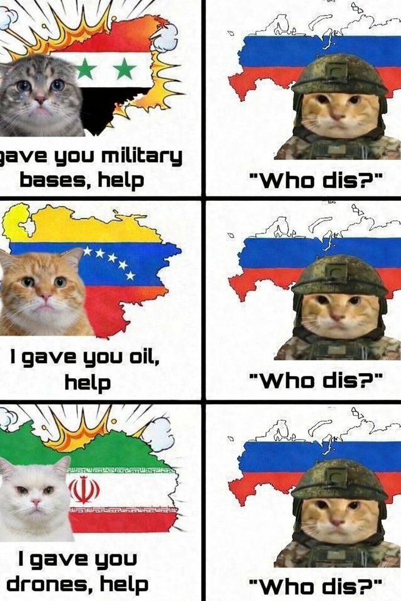 French Response tweet media