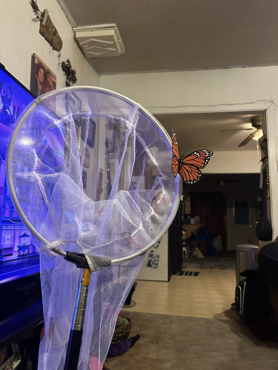 Celestial452's tweet photo. Decorating boyfie’s costume now 

#beyondwonderland #rave #ravegirlie #festivalseason #raveoutfit https://t.co/KEGyjZa9Bf