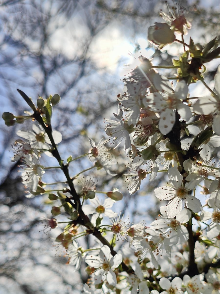 Matt Edwards tweet media