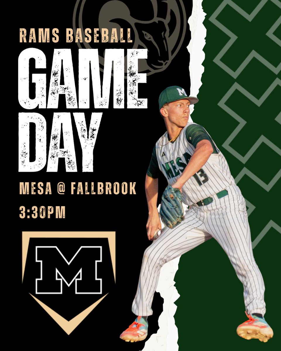 Murrieta Mesa Baseball tweet media