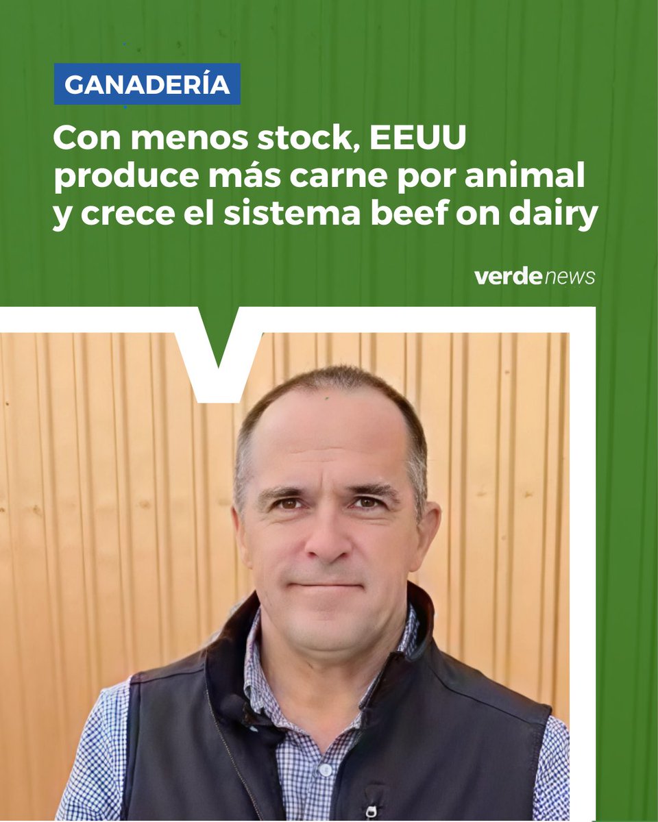 verdemedia tweet media