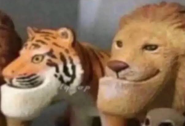 Dr. saeed tweet media