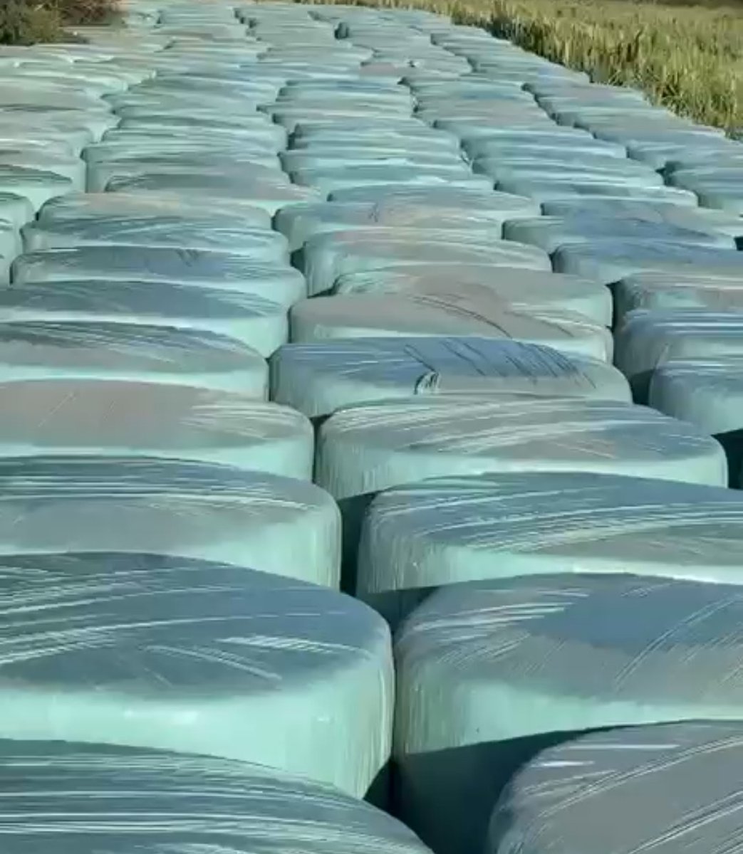 Hugo Zurbrigk 🇺🇾 tweet media