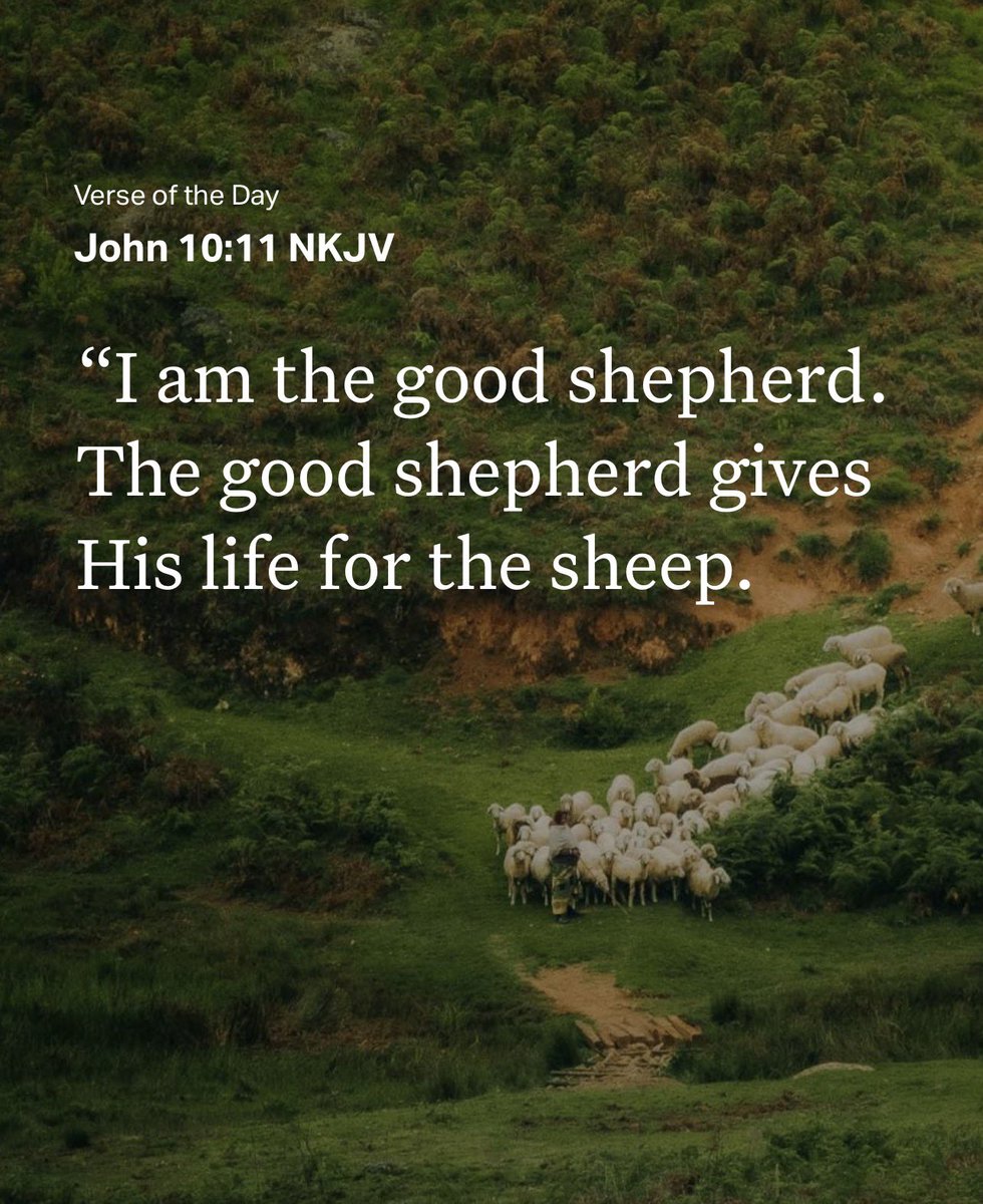 saRANDOM27's tweet photo. ✨Verse of the Day 
✝️John 10:11 📖💛💚🤎 https://t.co/kisT9NTS20