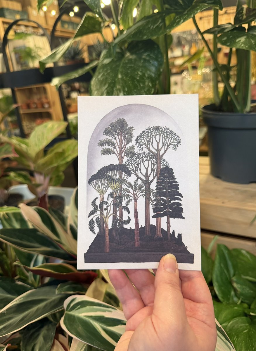 Fruit Market tweet media