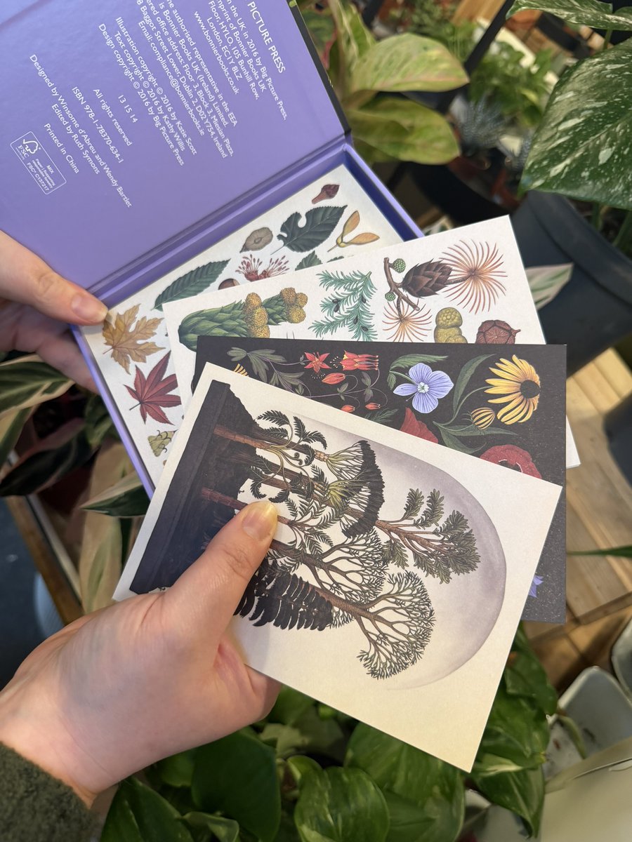 Fruit Market tweet media