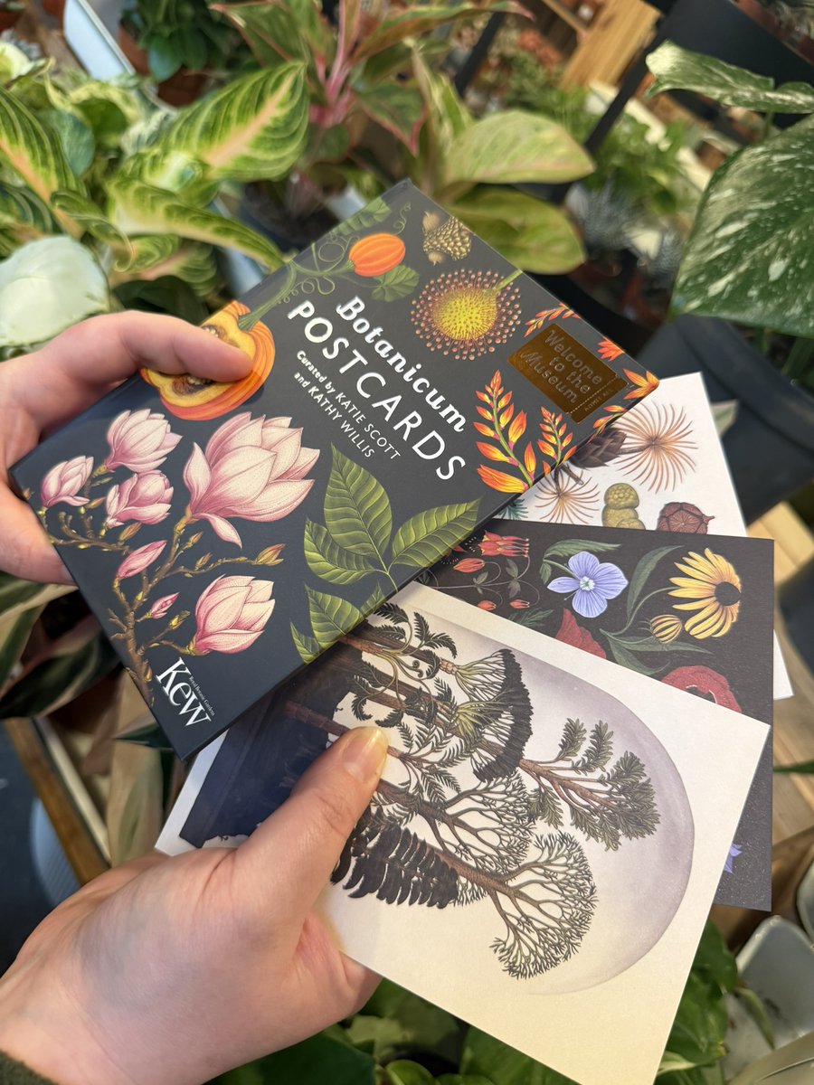 Fruit Market tweet media