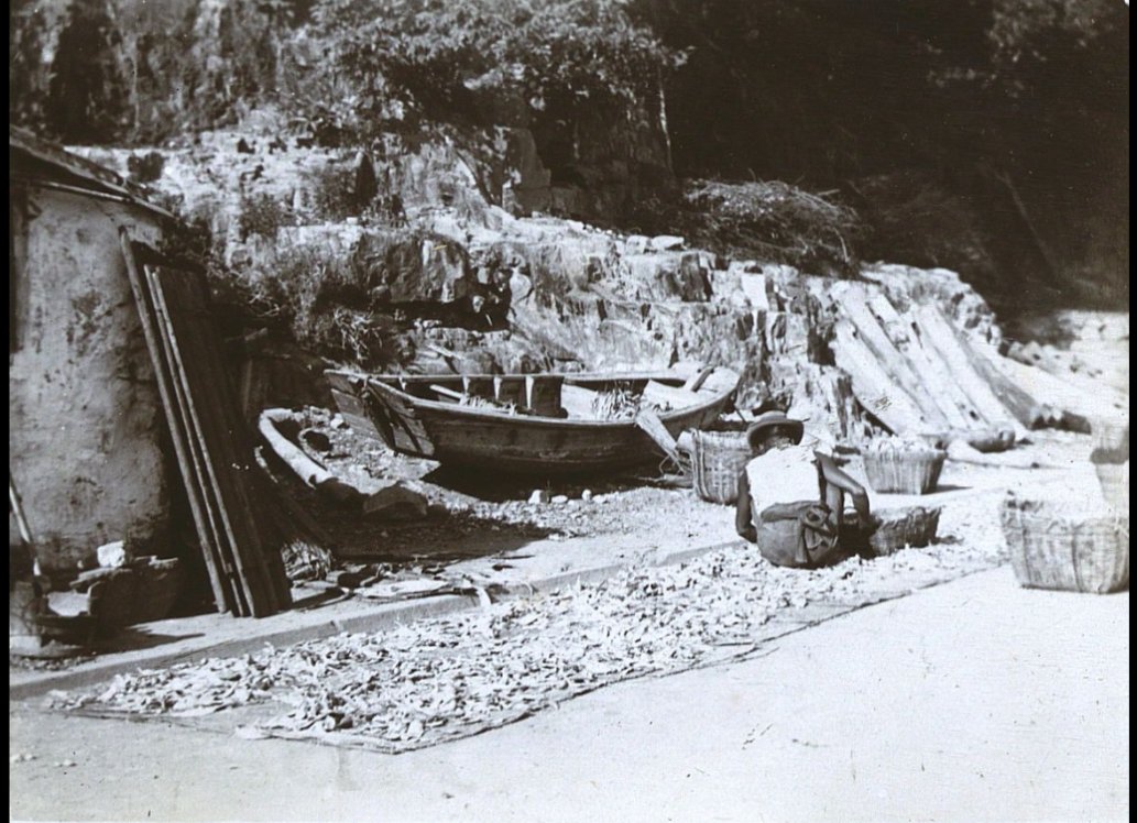 SOAS Special Collections tweet media