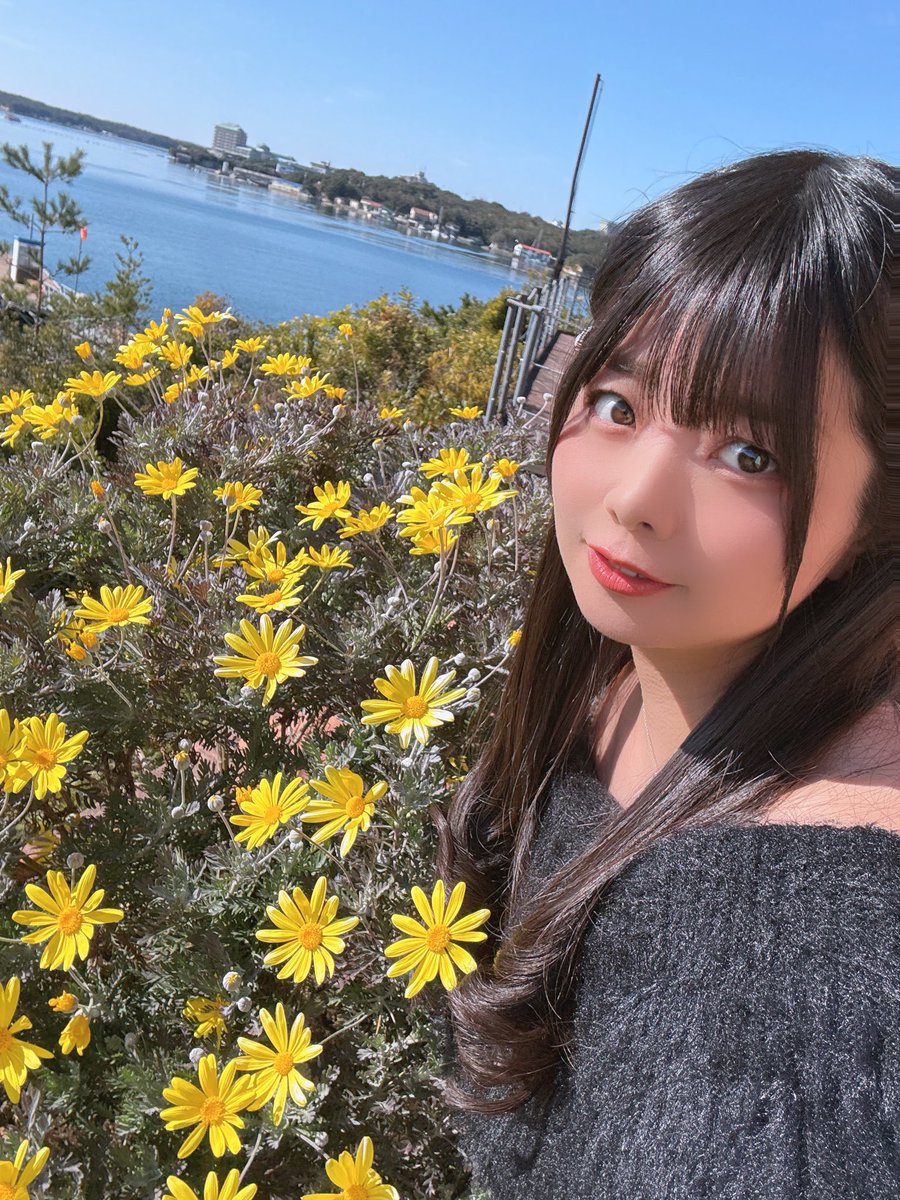 柚月彩那 tweet media