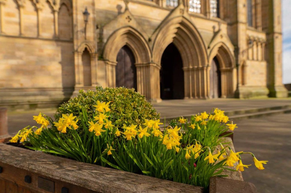 Ripon Cathedral tweet media