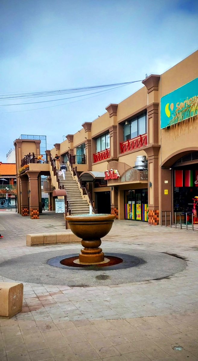 Tijuana Local tweet media