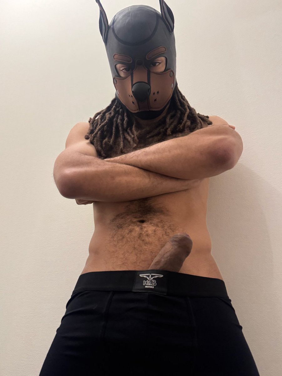 Dog Hand Puppet tweet media