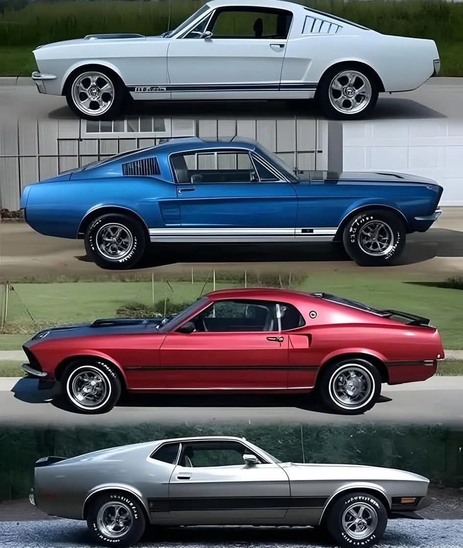 Vintage Cars Collection tweet media