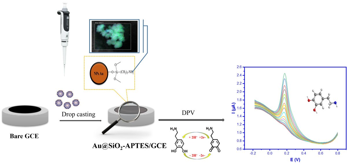 chemosens_MDPI's tweet photo. #Article
Electrochemical Detection of Dopamine with a Non-Enzymatic Sensor Based on Au@SiO2-APTES Composite by Afef Dhaffouli, et al.
https://t.co/TbSHMzvtE7
@MDPIOpenAccess @ULL @Uni_Wuppertal
#electrochemicalsensor #goldmodifiedsilica #dopamine #differentialpulsevoltammetry https://t.co/J26k6rnPMd