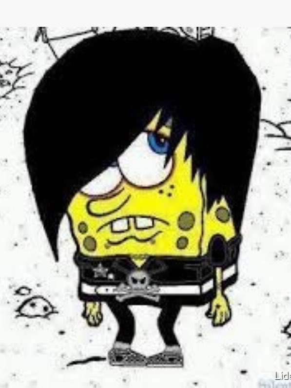 lulli ☾ tweet media