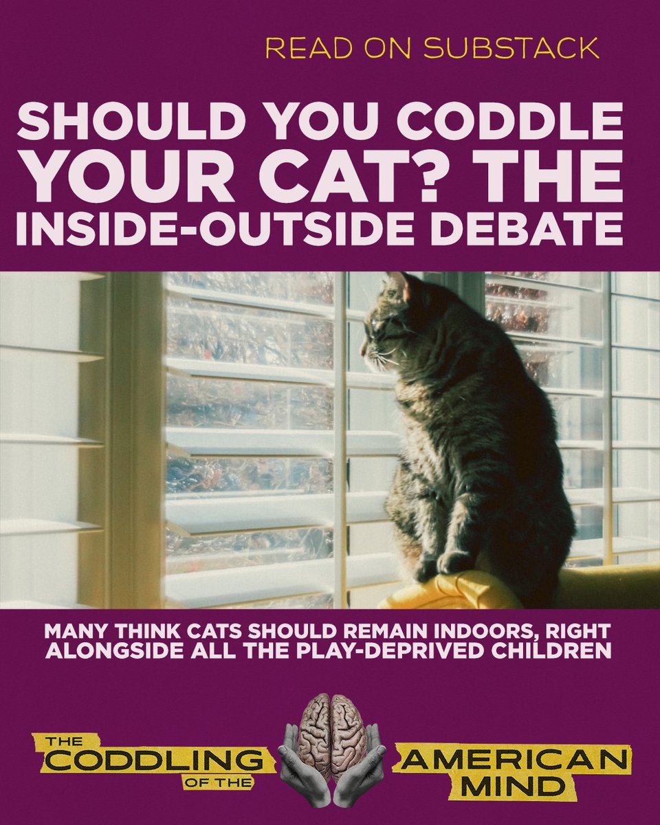 The Coddling Movie tweet media