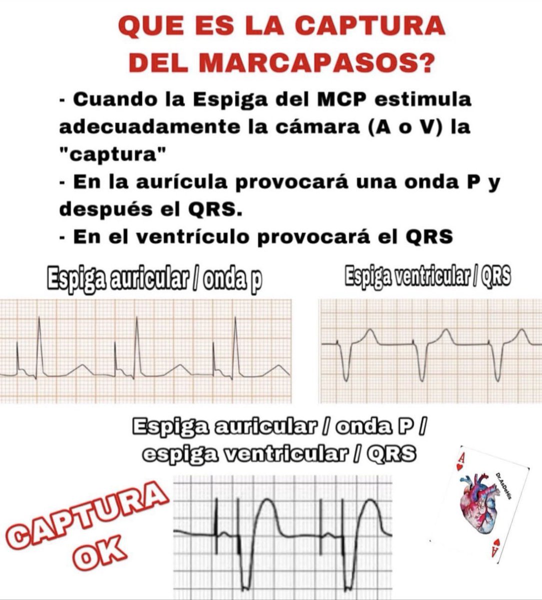 Dr.AsDeHis tweet media