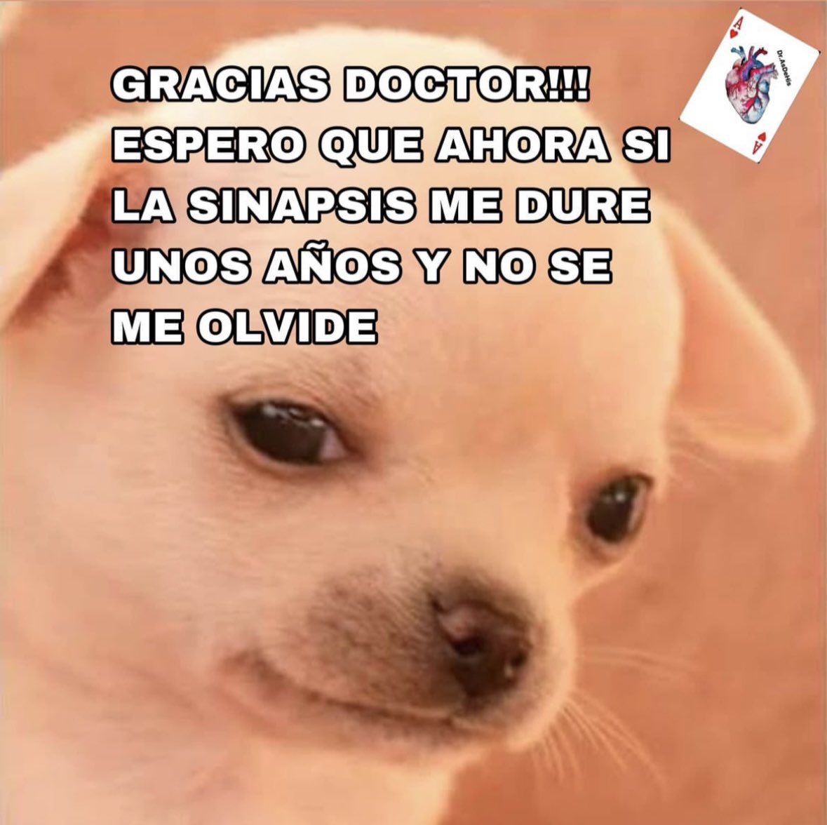 Dr.AsDeHis tweet media