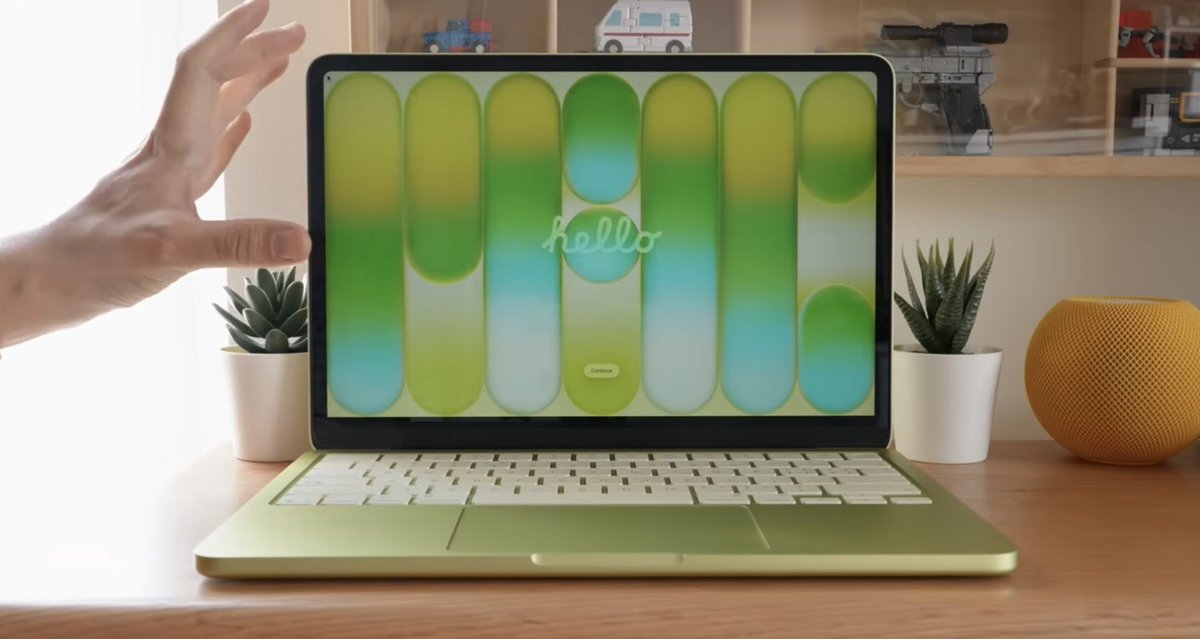 Noah Cat tweet media