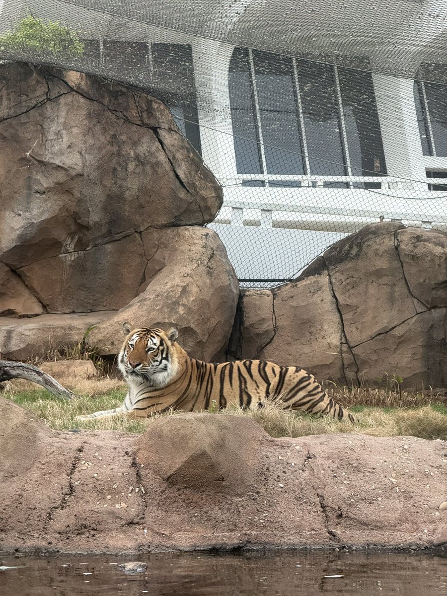 Mike VII tweet media