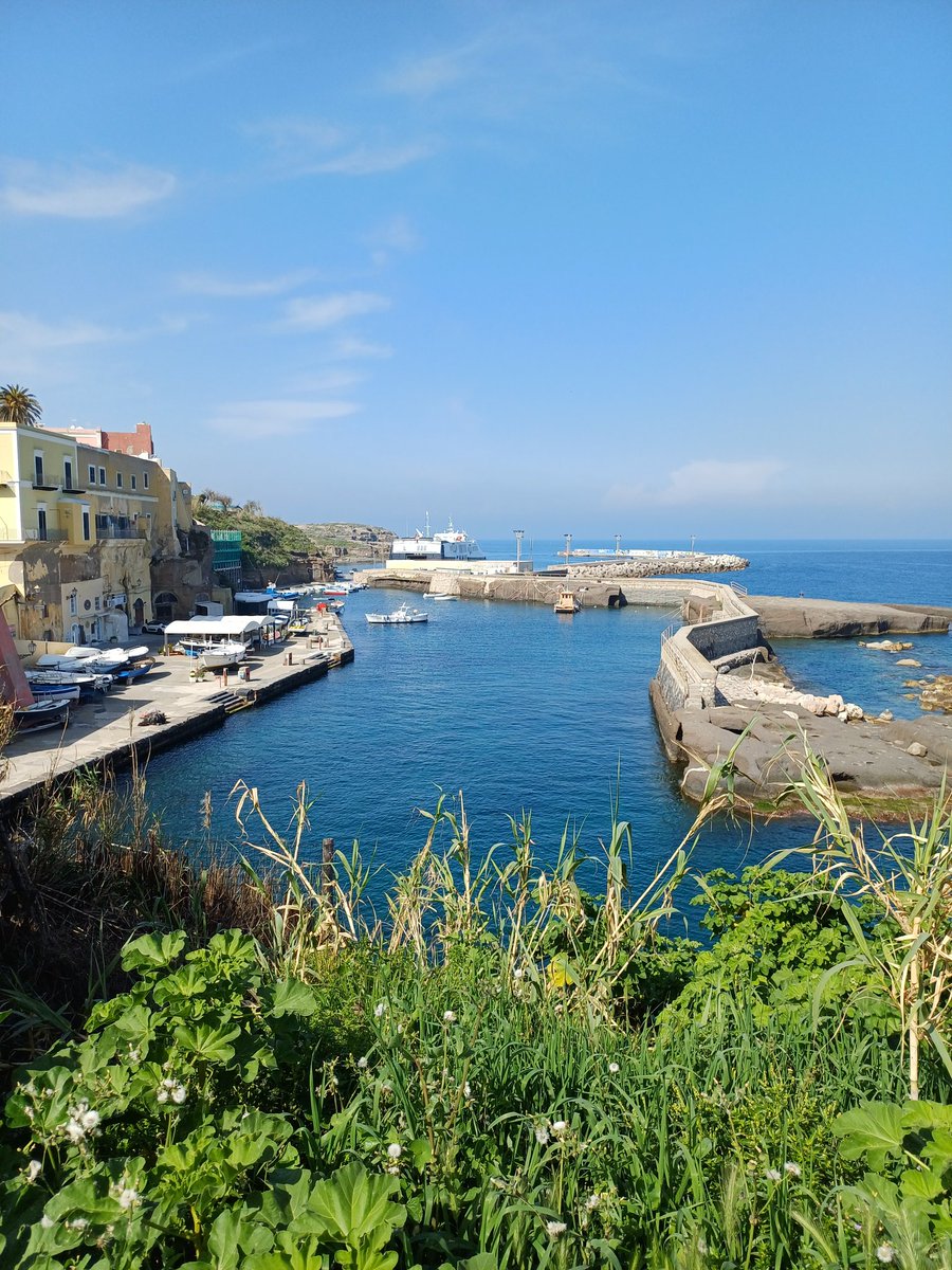 Carob Mill tweet media