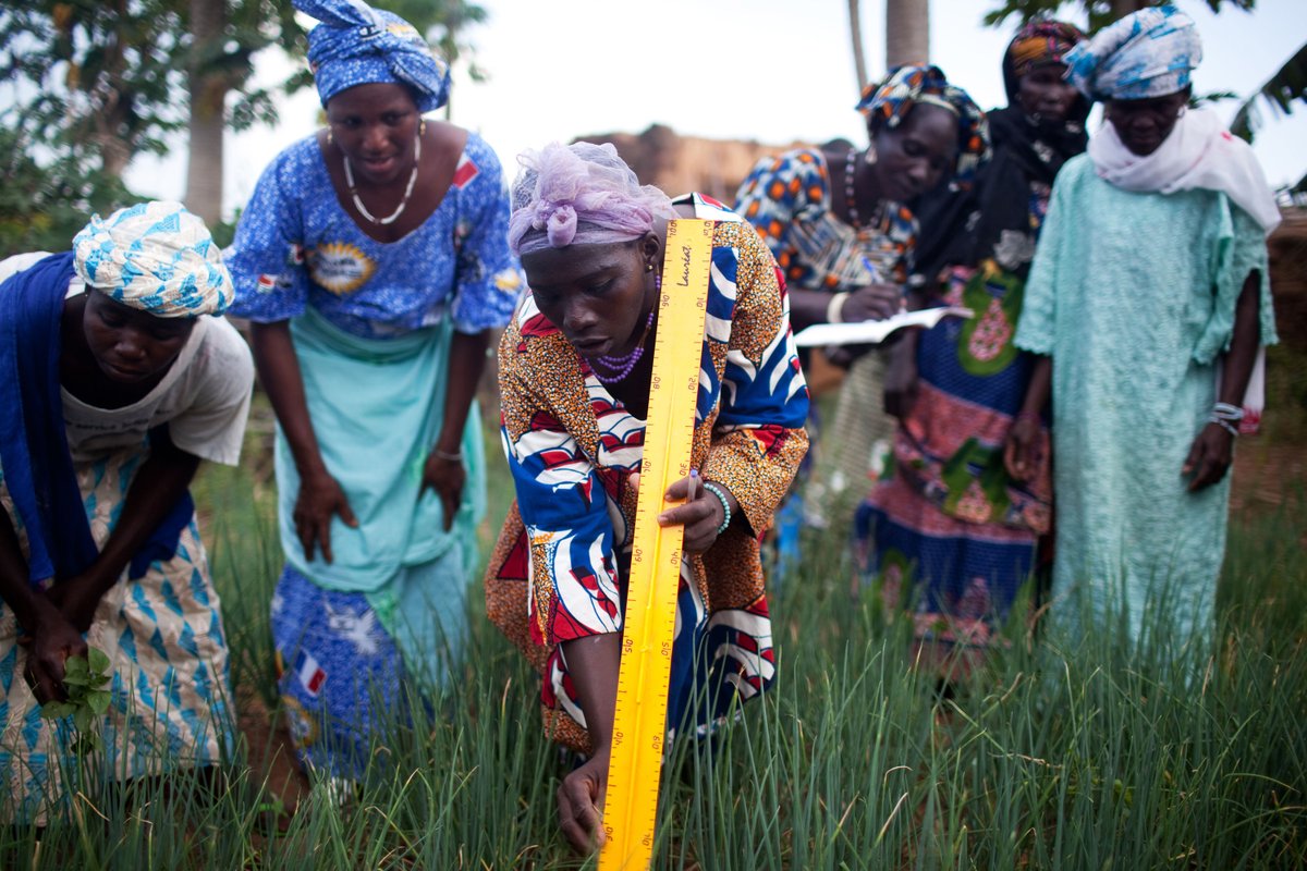 FAO Statistics tweet media