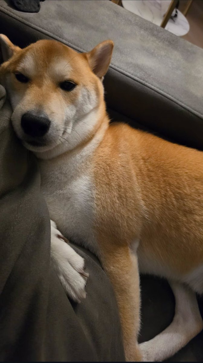 พิ่ซู อ้วงงงงงงงมากกกกก