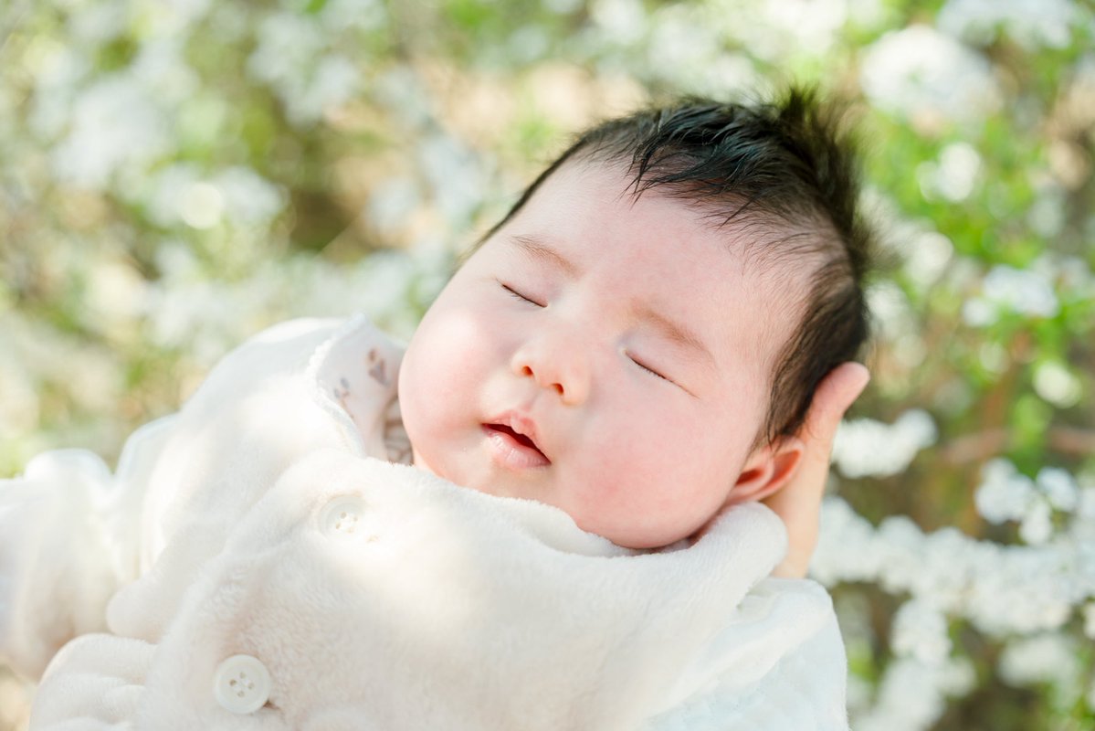 RYOTA │ ライブ映像・MV制作 tweet media