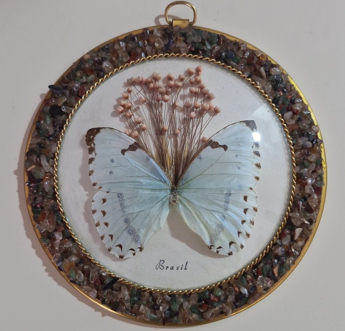 Bruce Martins 🧠 tweet media