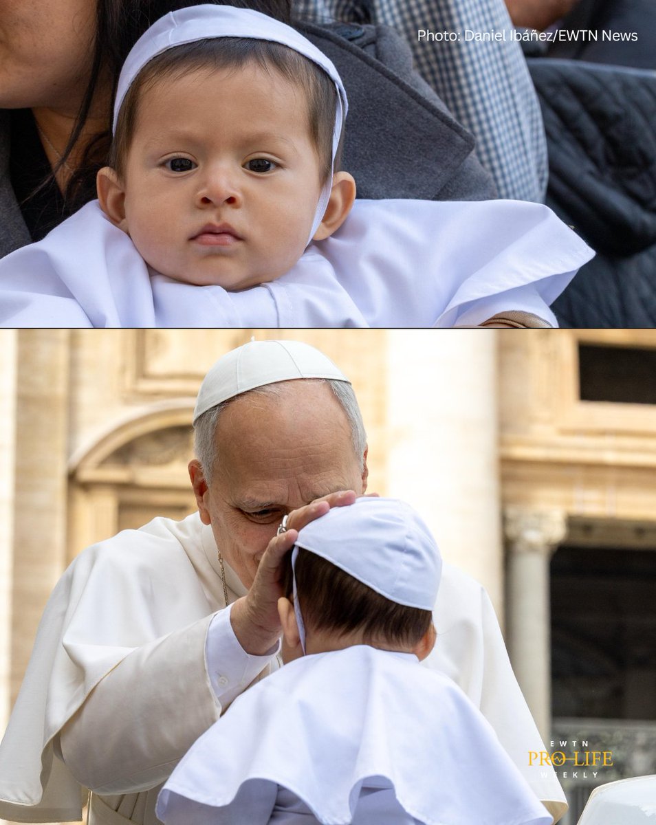 EWTN Pro-Life Weekly tweet media