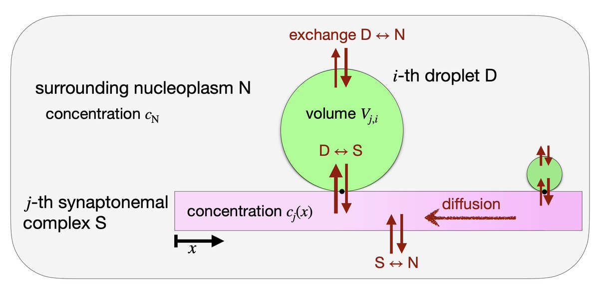 PRX Life tweet media