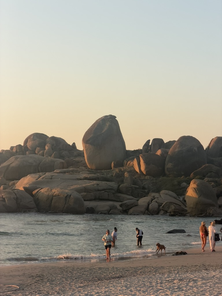 David Phillips tweet media