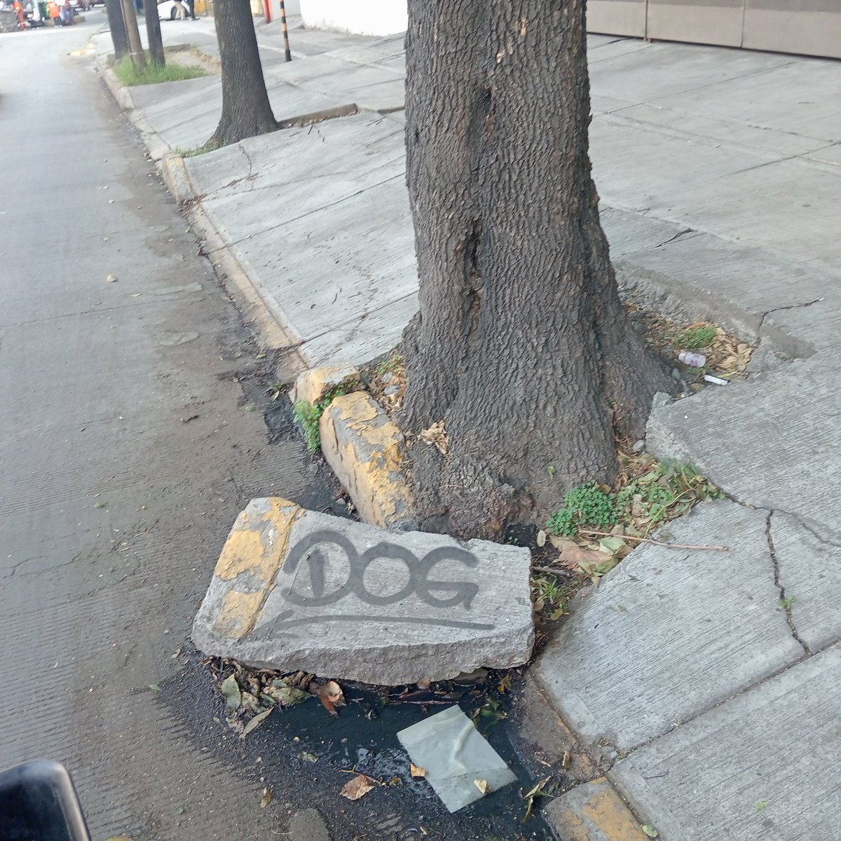 Jose Luis Rangel M. tweet media