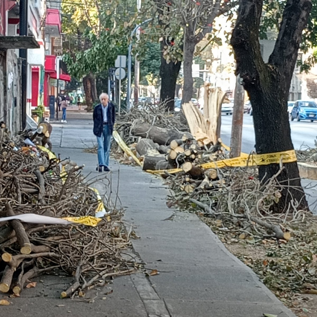 Jose Luis Rangel M. tweet media