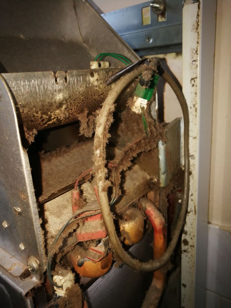 KosemoMoravia's tweet photo. Kotle pár let bez údržby, i na takové kotle se bohužel dostáváme
#plyn #heating #montazkotle #ingeneering #water #wolf #kotle #cisteni #udrzba #plynovekotle #vytapeni #thermona #junkers #buderus #viessmann #destila #plynovákotelna #dedietrich #kosemo #rekonstrukce #viadrus https://t.co/6pjo978WFs