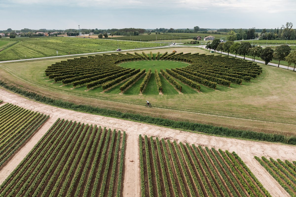 TurismoFVG tweet media