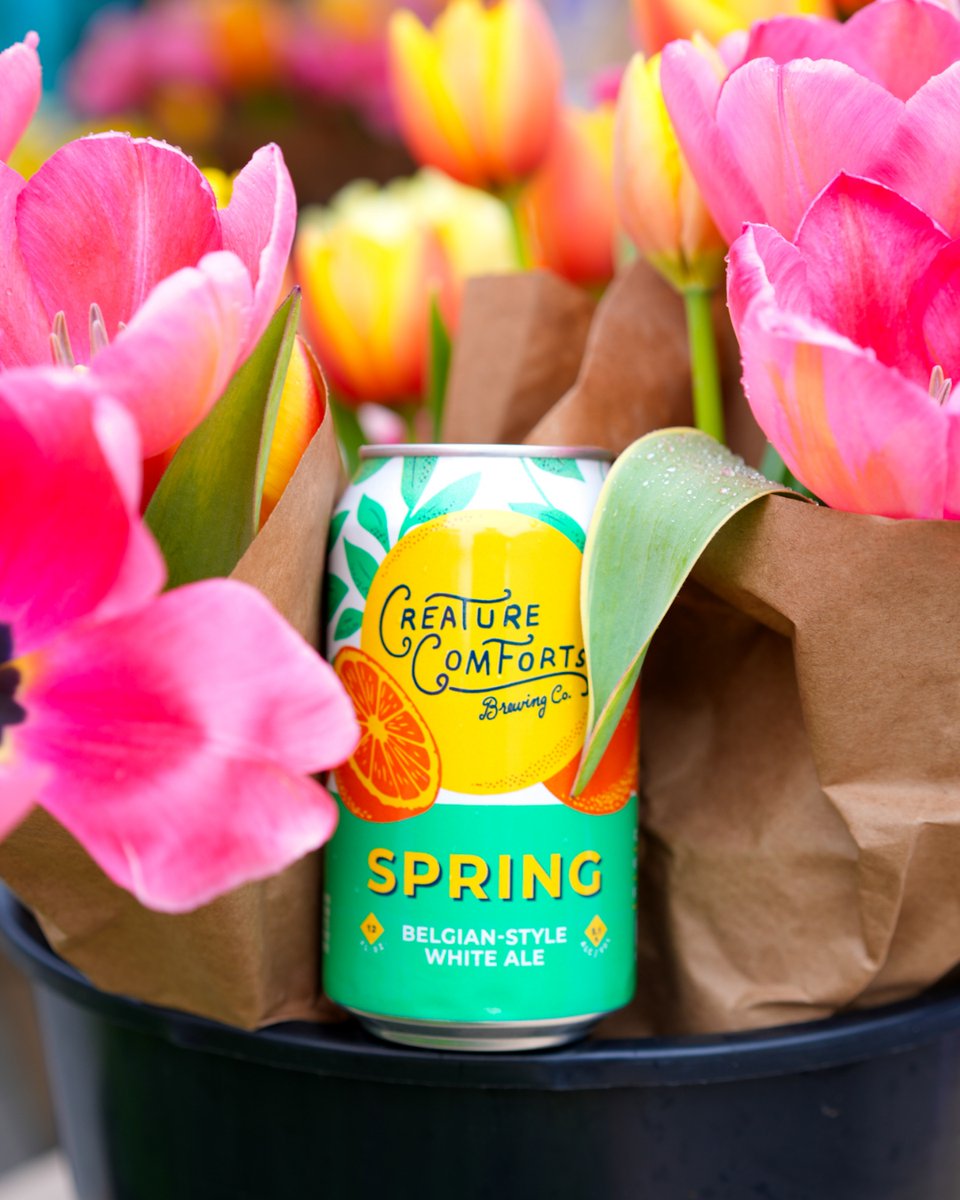 Creature Comforts tweet media