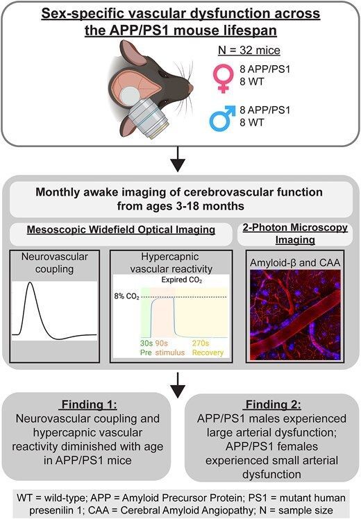 @BrainComms tweet media